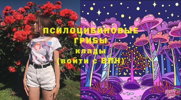 прущие грибы Переславль-Залесский