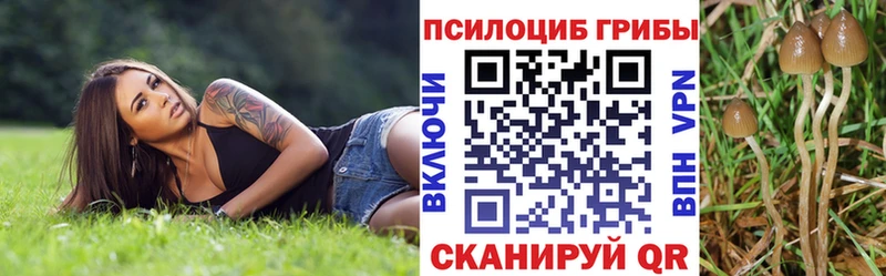 Галлюциногенные грибы Psilocybe  Богородск 